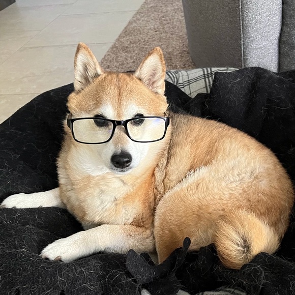 Meet your Posher - Picture 1 of 1